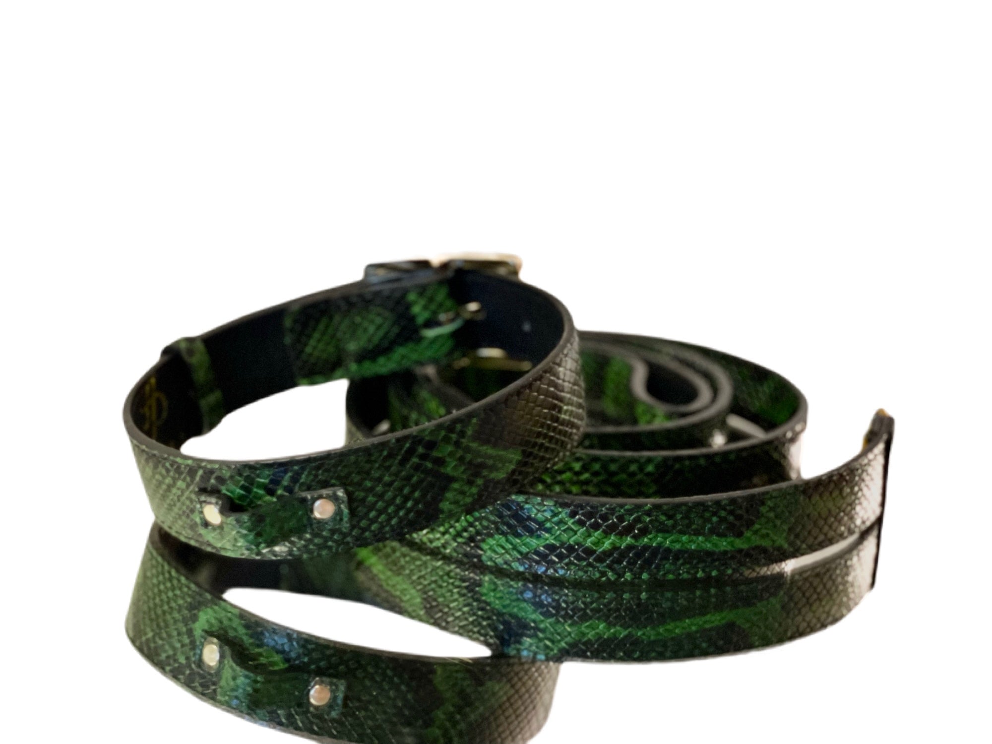 Luxury Pet Fashion Green and Black Embossed Python Italian Leather Collar & Leash Set