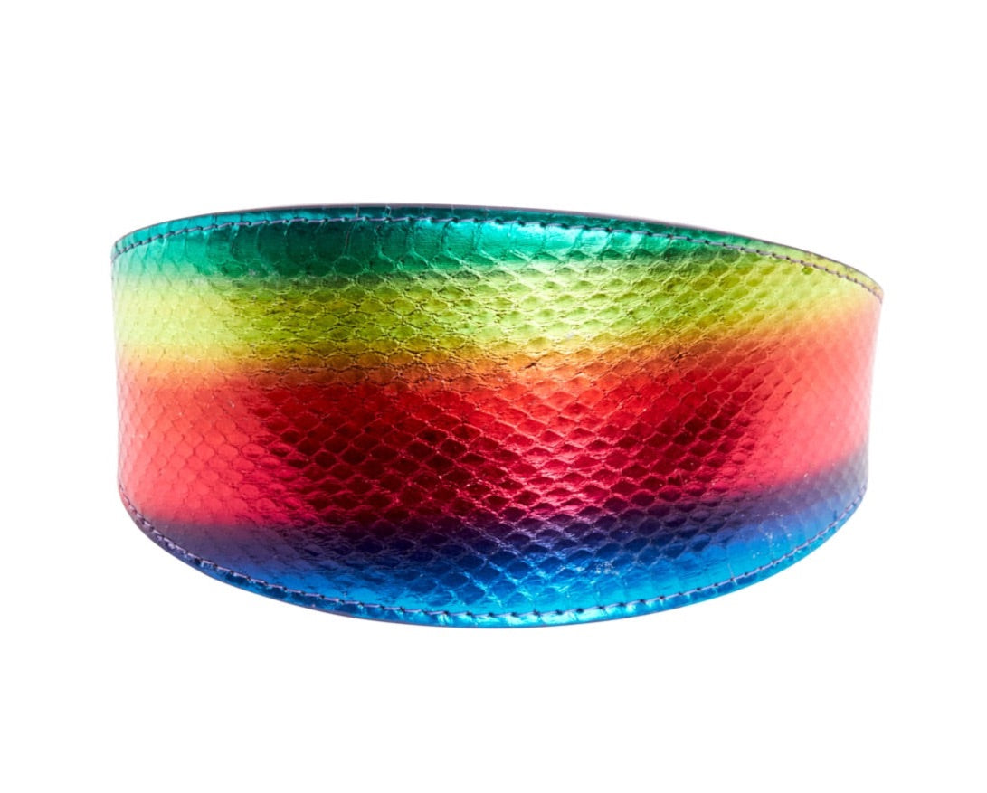 Rainbow snake patterned wide pet collar laid flat showing colorful design
