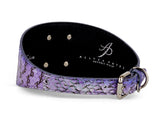 Purple iridescent snake-patterned 3-inch wide collar with large silver rivets and a silver buckle, featuring a black inner lining and embossed branding.