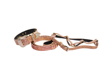 Embossed Snake Italian Leather/Swarovski Crystal Buckle Collar by Allysa Payne Beverly Hills - main product image for Resin Society