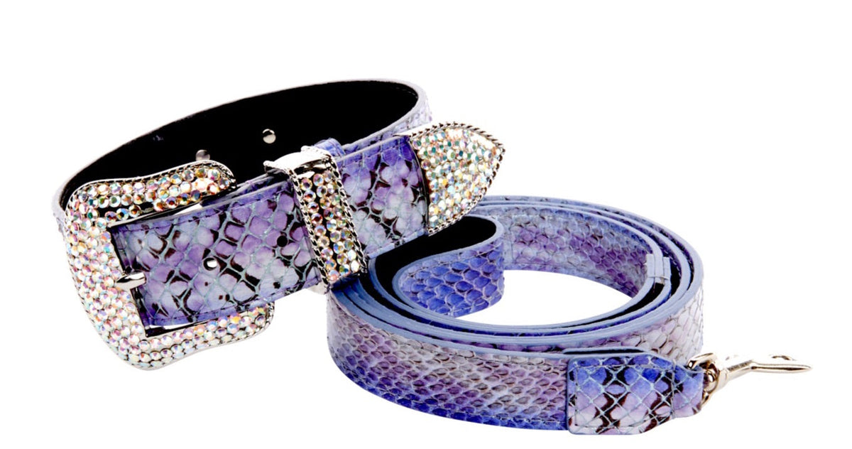 Purple and silver iridescent snake-patterned dog collar and matching leash embellished with sparkling Swarovski crystals.