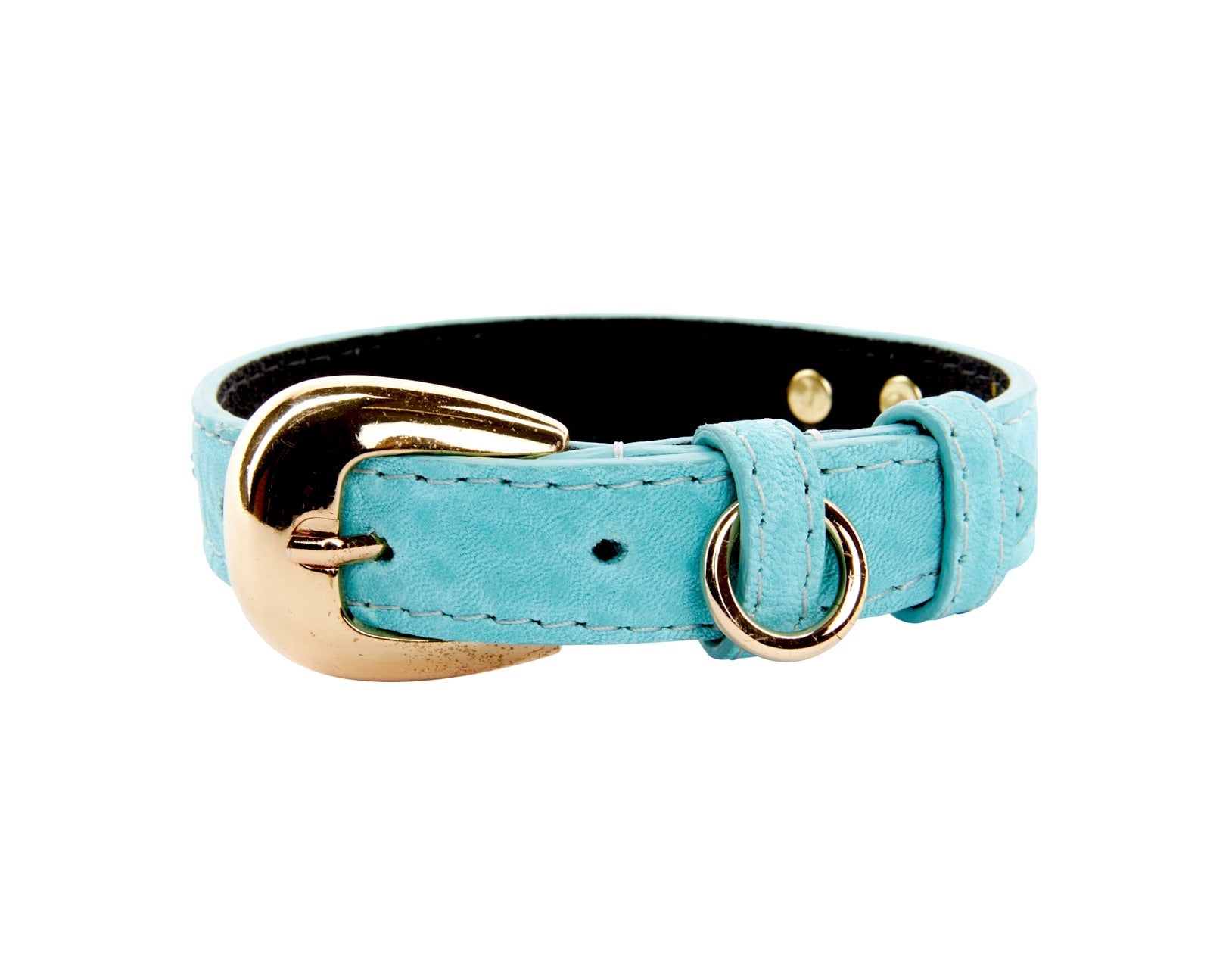 Extra small turquoise blue Italian leather dog collar with a gold oval buckle displayed flat on a white surface.