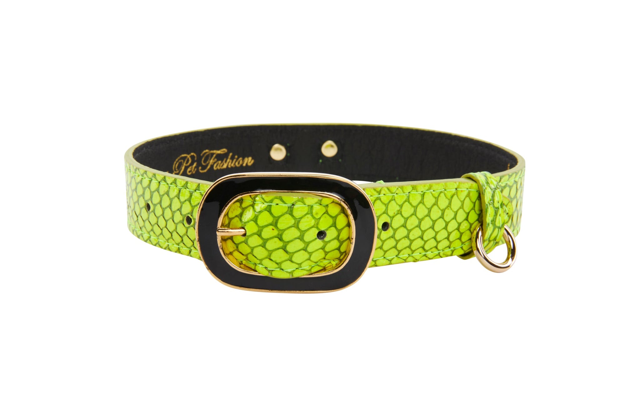 Neon Green Snake Dog Collar with Vintage Black and Gold Italian Hardware