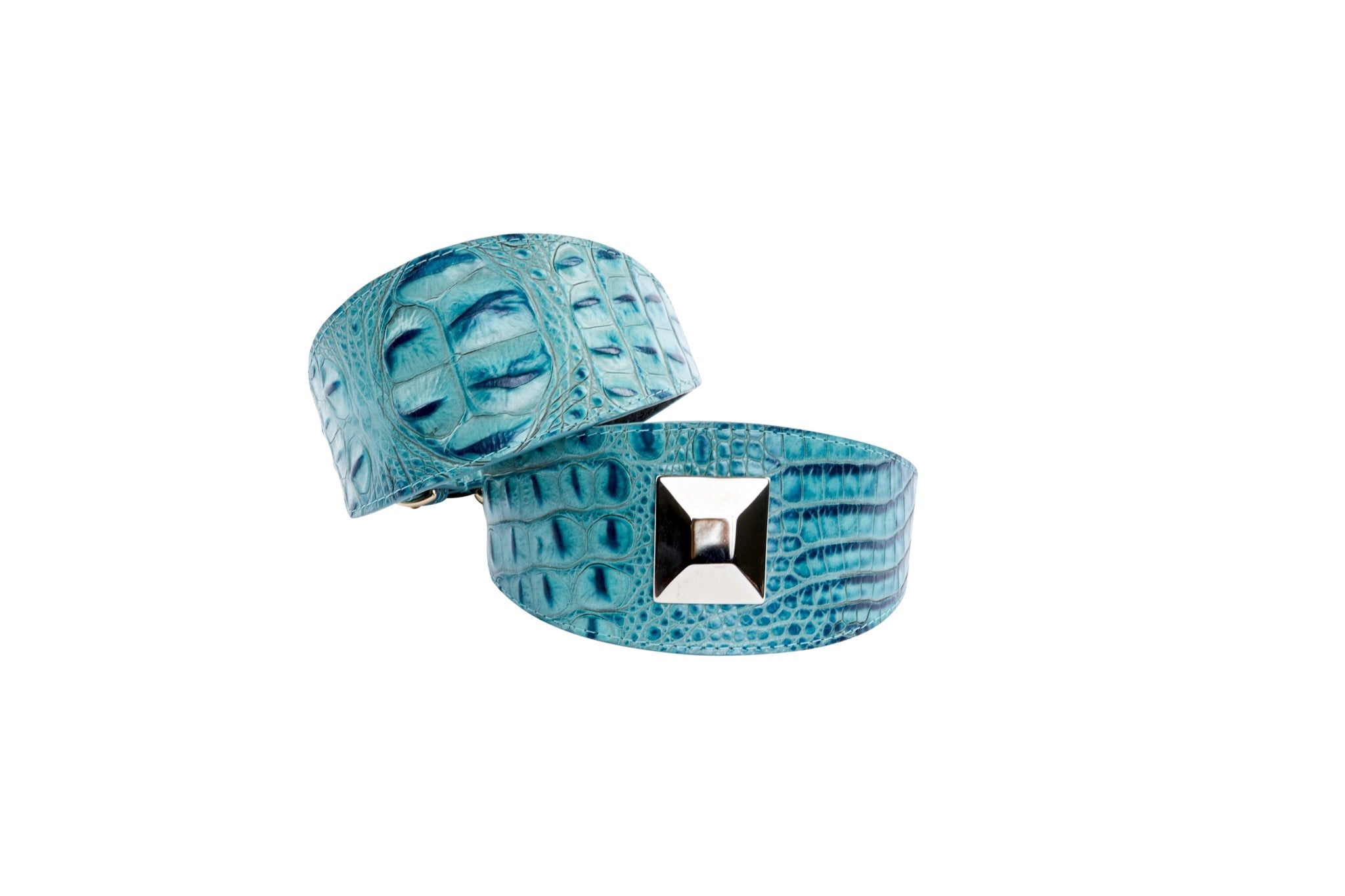 Turquoise Embossed Croc Italian Leather 3” Wide Style Collar Set Of 2 by Allysa Payne Beverly Hills - product image 3 for Resin Society