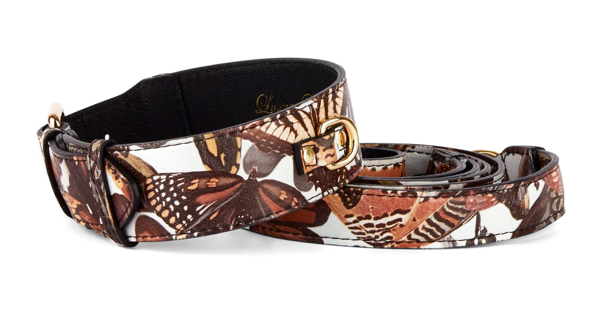 Italian leather dog collar and leash set with brown, beige, and orange butterfly print and gold-tone hardware, shown coiled and flat on white background.