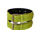 Neon green snakeskin pet collar with gold hardware and Italian leather lining