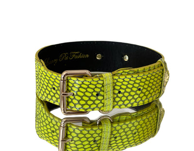 Neon green snakeskin pet collar with gold hardware and Italian leather lining