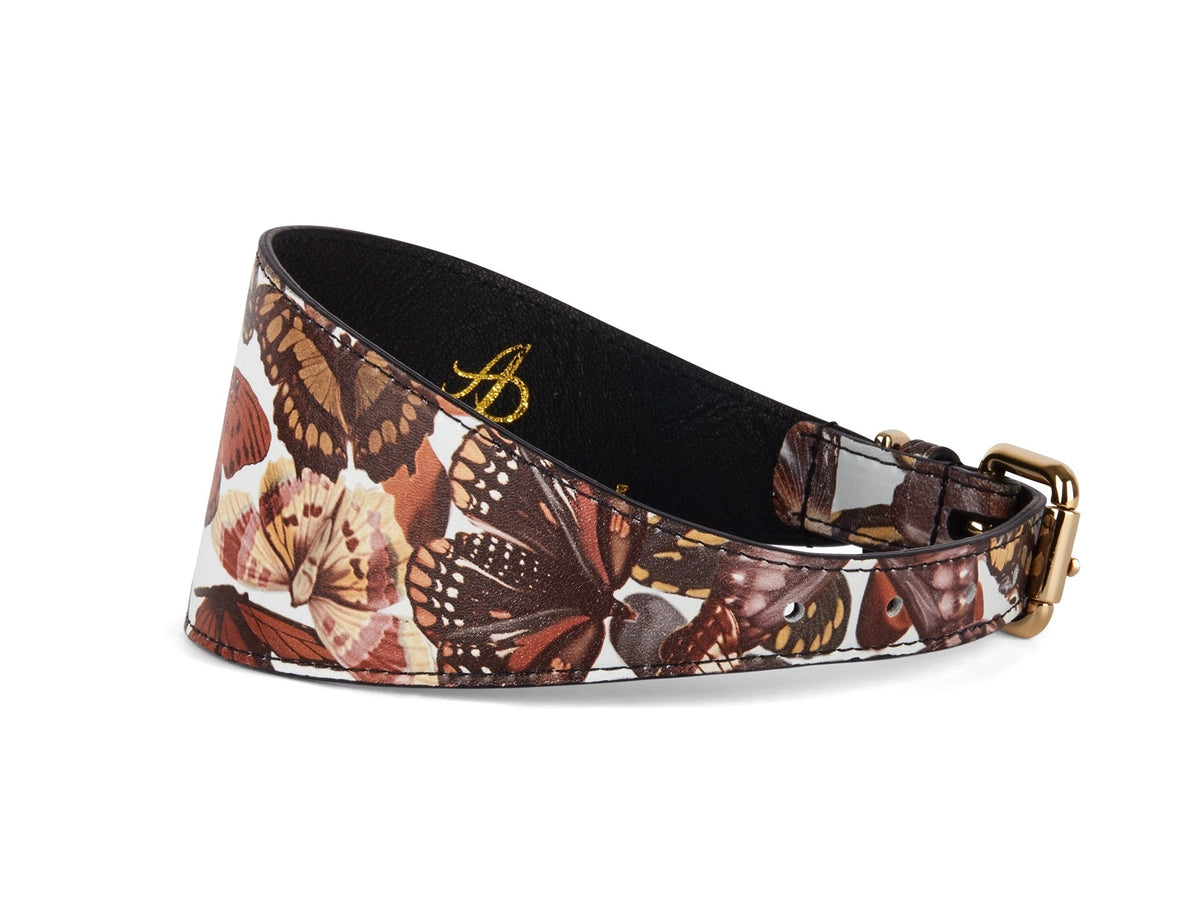 3-inch-wide style dog collar with brown and cream butterfly print on Italian leather, featuring a gold-toned metal buckle and black inner lining.