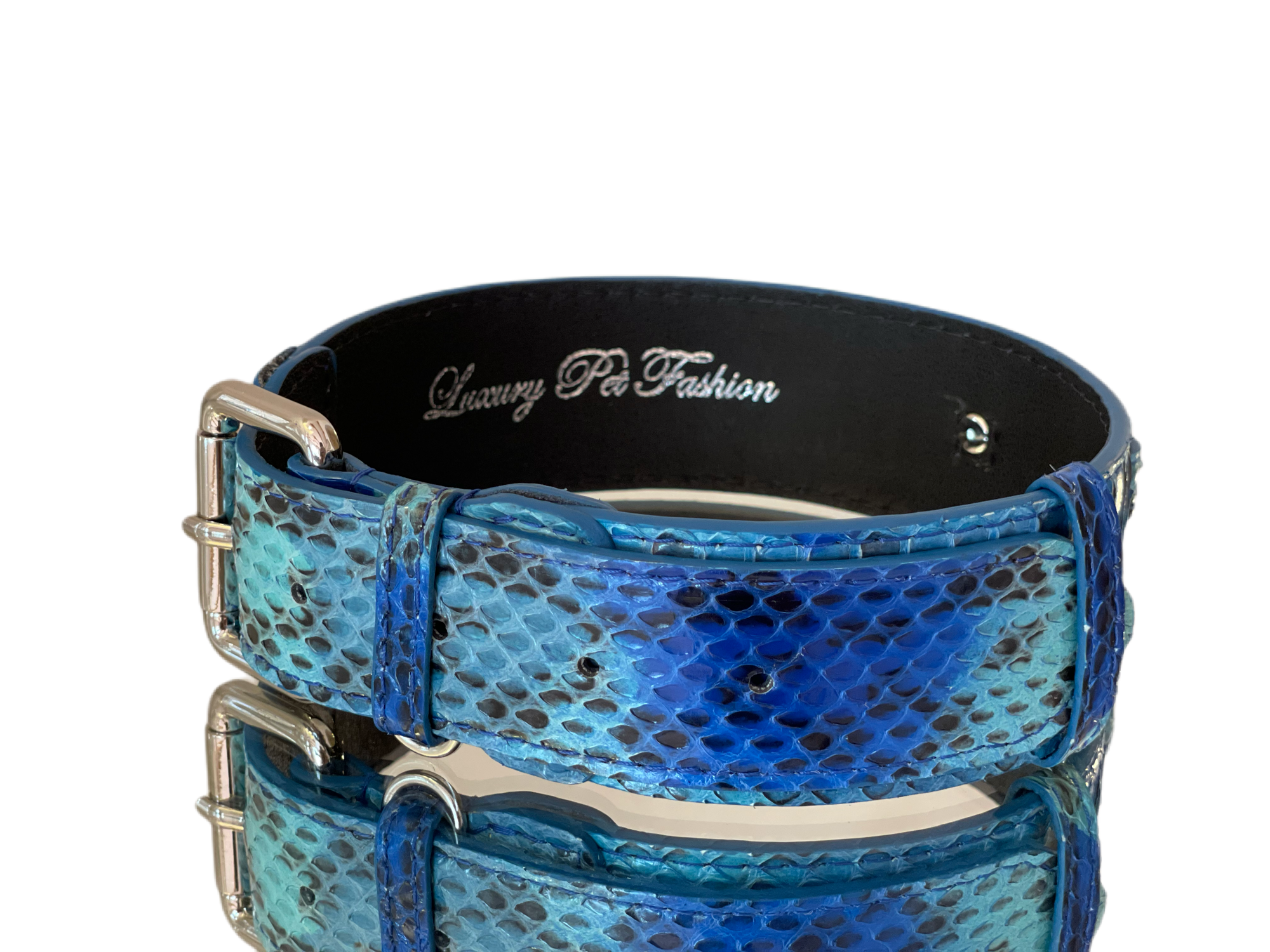 Luxury Pet Fashion Blue/Turquoise Snakeskin Collar with Classic Silver Hardware