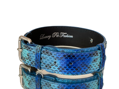 Luxury Pet Fashion Blue/Turquoise Snakeskin Collar with Classic Silver Hardware