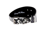 Black and white snake-patterned dog collar with wide 3-inch band, silver buckle, rivets, and D-ring, shown against a white background.