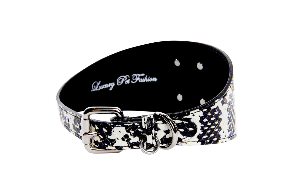 Black and white snake-patterned dog collar with wide 3-inch band, silver buckle, rivets, and D-ring, shown against a white background.