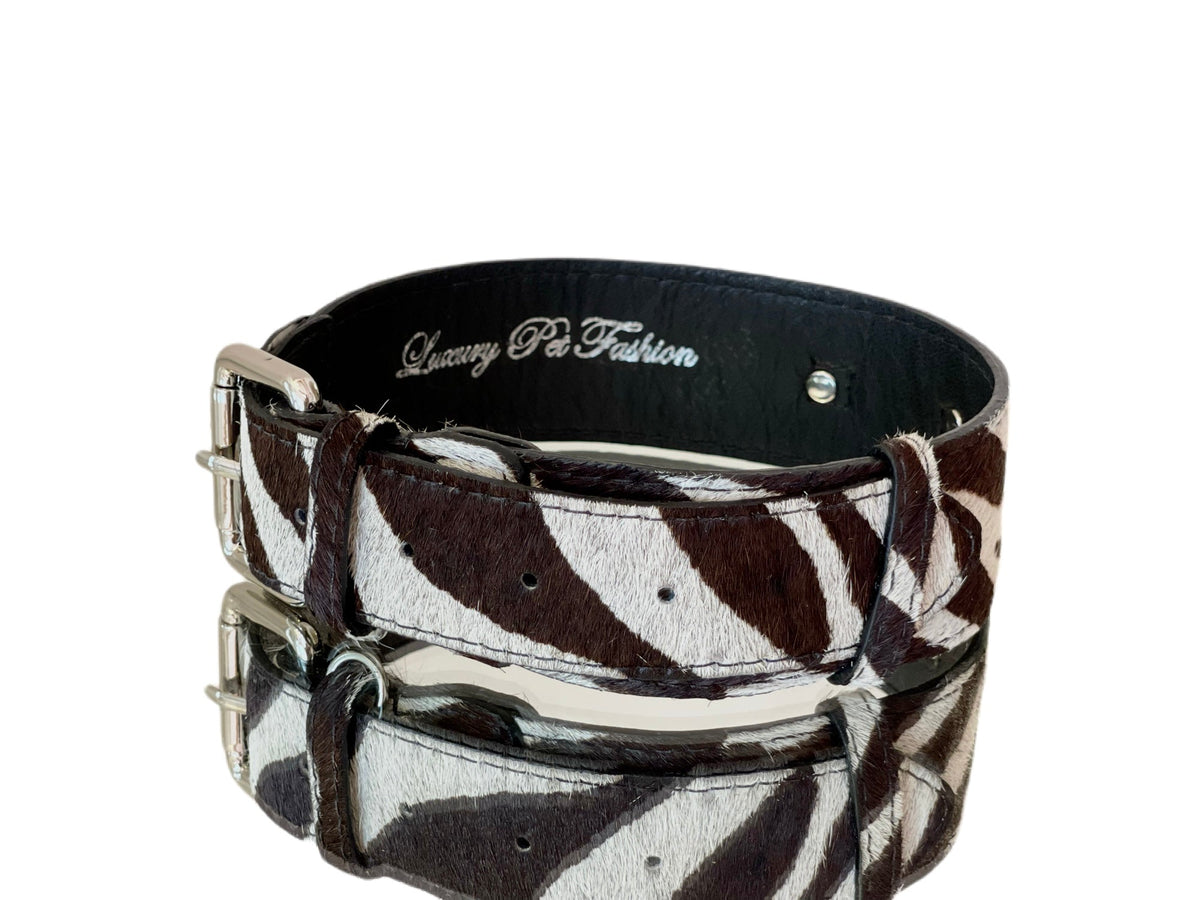 Collar with zebra print hair-on-hide leather strap featuring classic silver buckle and loop, embossed with 'Luxury Pet Fashion' on black inner lining.