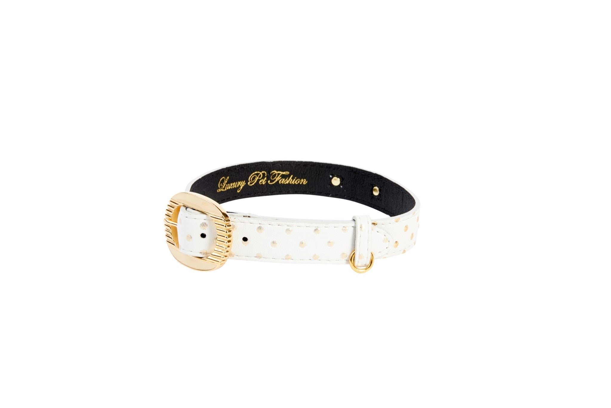White & Gold Polka Dot Italian Leather Collar With Orante Italian by Allysa Payne Beverly Hills - main product image for Resin Society