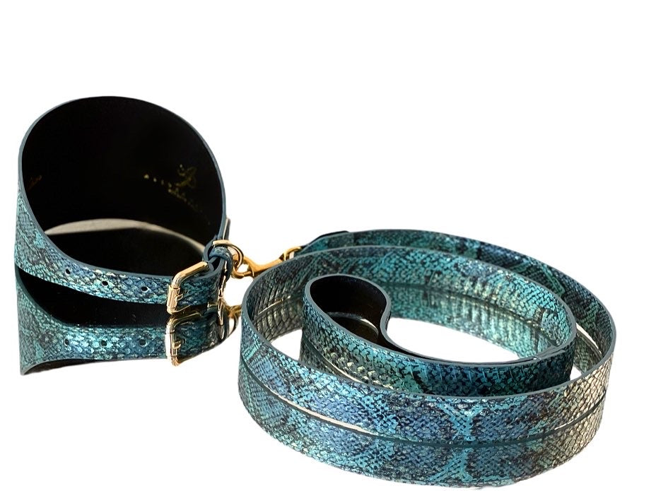 Luxury pet Fashion Turquoise Blue Multi-Tone Snakeskin Wide Collar & Leash Set
