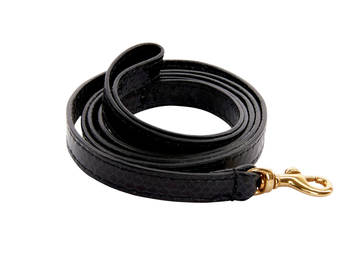 Coiled black leash with a subtle snake-scale texture and a gold-colored metal clip at one end, isolated on a white background.