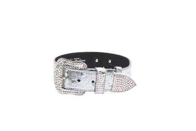 Silver Studded Italian Leather Collar, Leash Harness Set