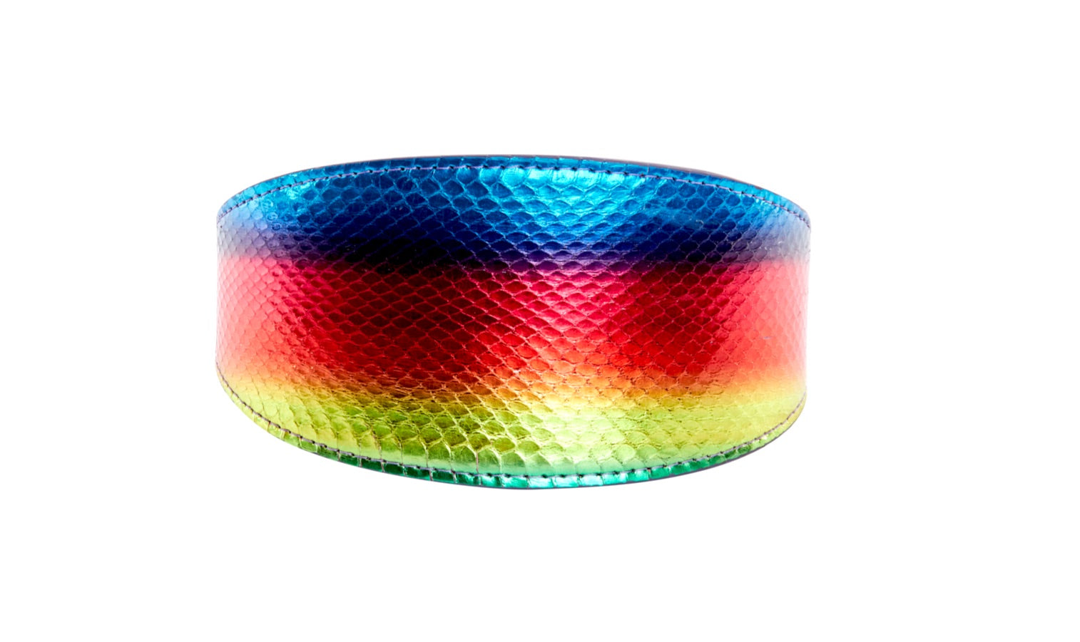 Rainbow snake patterned 3-inch wide pet collar from Pride Collection by Allysa Payne Beverly Hills
