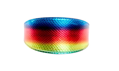 Rainbow snake patterned 3-inch wide pet collar from Pride Collection by Allysa Payne Beverly Hills