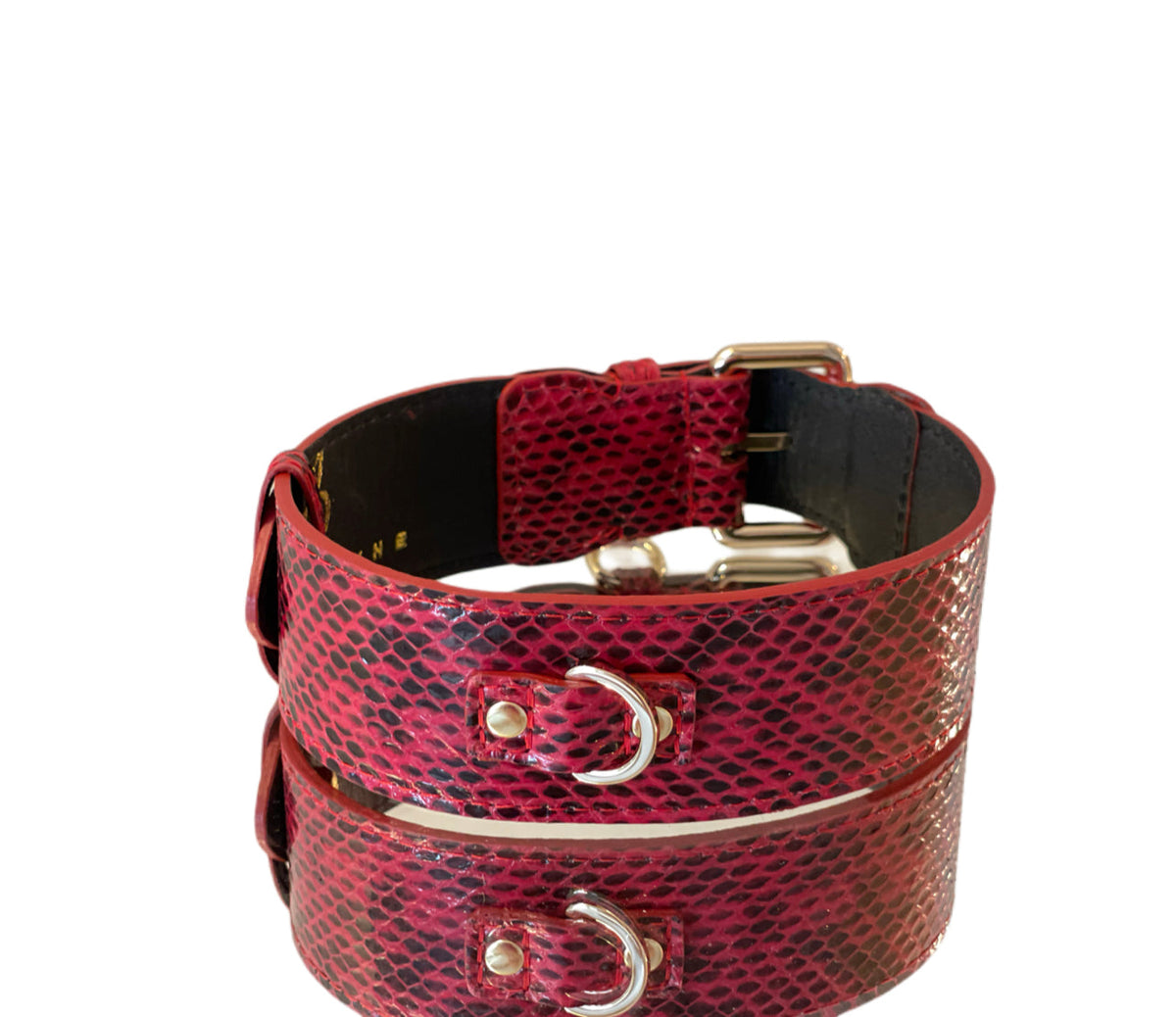 Red and black viper snake-patterned pet collar featuring gold classic buckle hardware and D-ring on smooth curved black interior side.