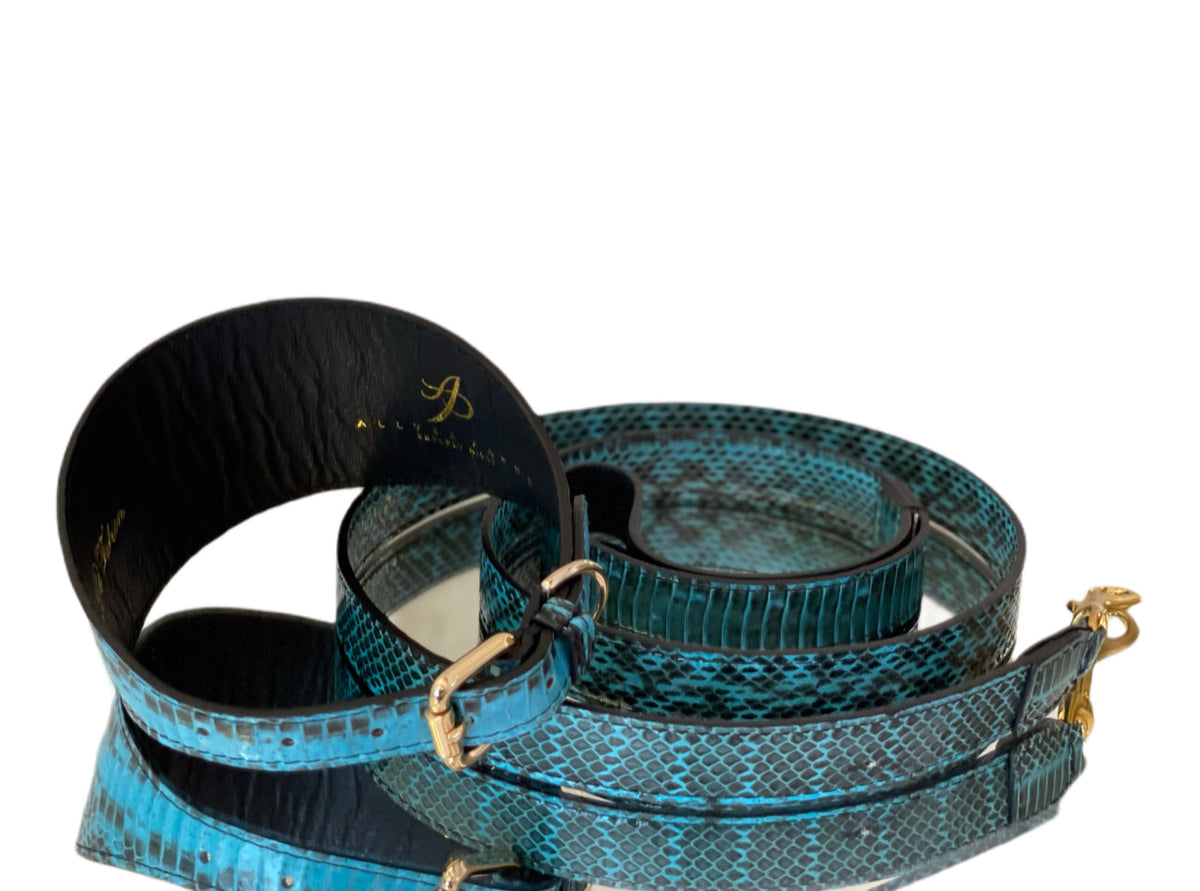 Turquoise and black snakeskin patterned pet collar and leash set with gold-tone metal buckle and clasp, arranged coiled on a white background.