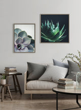 Sylvie Succulent 5 Framed Canvas by F2 Images by kateandlaurel - product image 5 for Resin Society