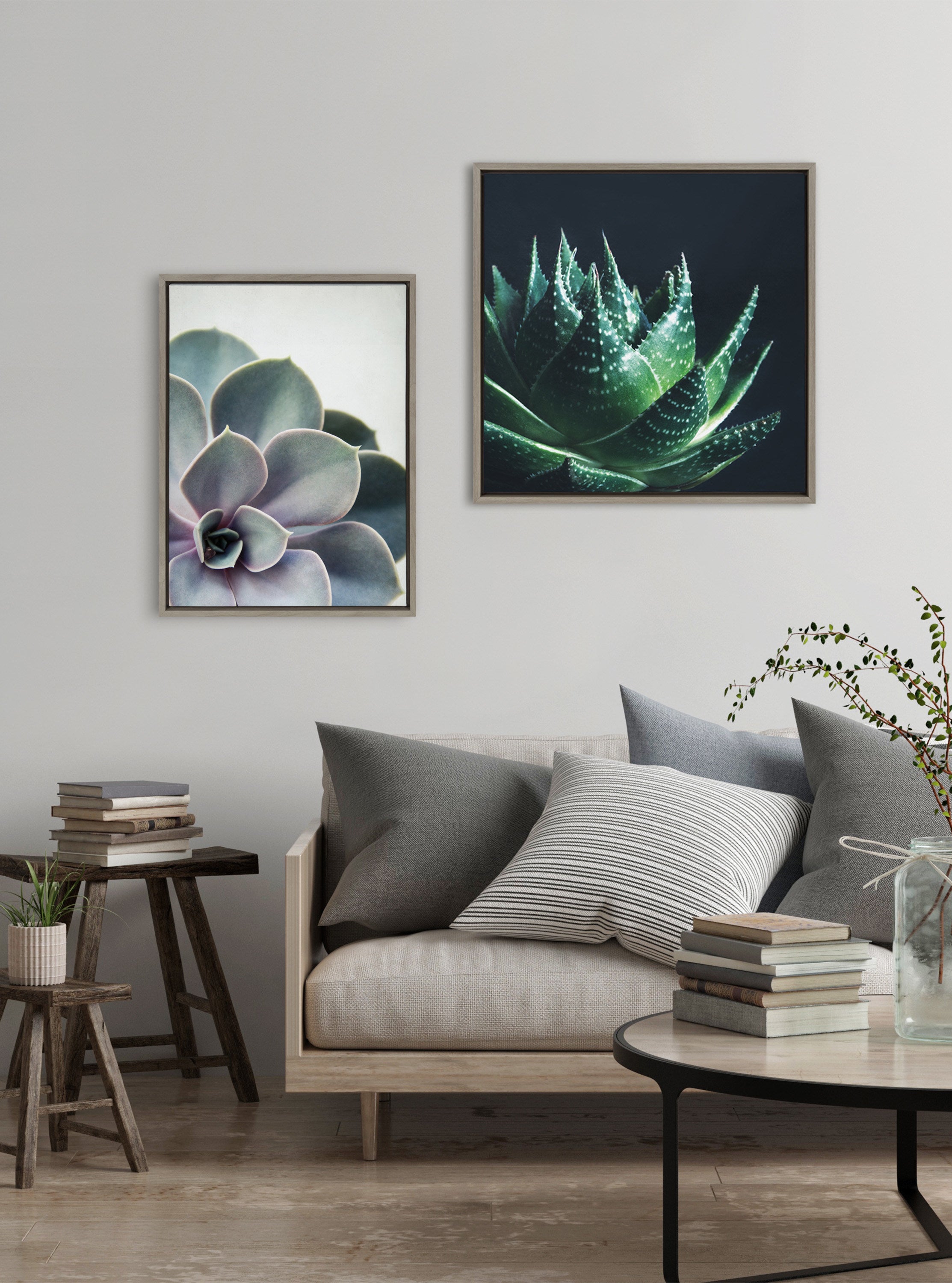 Sylvie Succulent 5 Framed Canvas by F2 Images by kateandlaurel - product image 5 for Resin Society