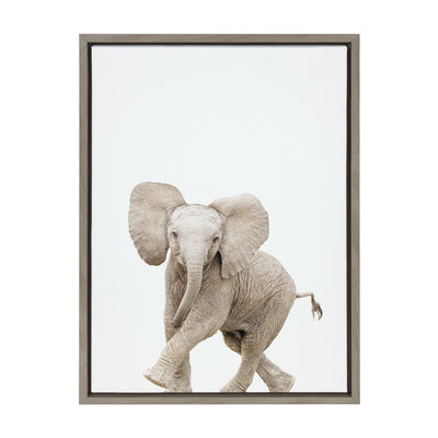 Sylvie Baby Elephant Walk Framed Canvas by Amy Peterson Art Studio