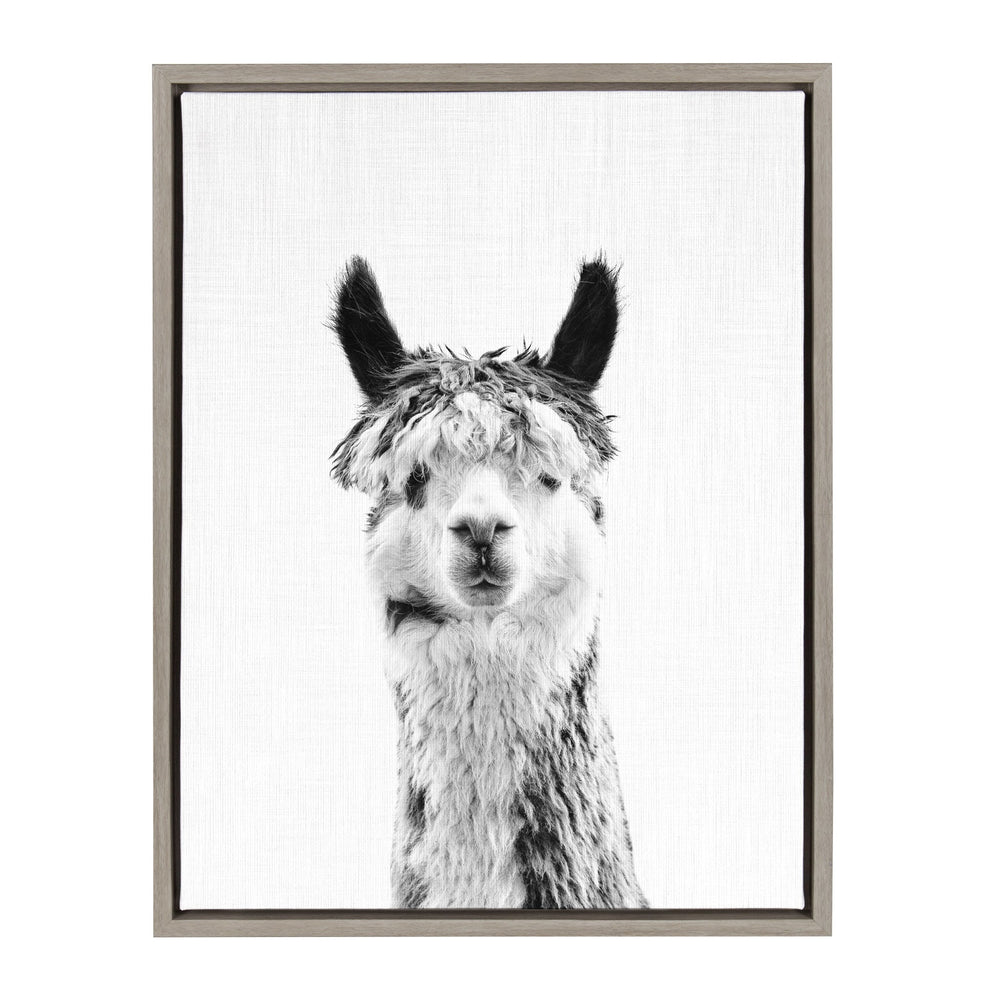 Sylvie Llama Framed Canvas by Simon Te Tai by kateandlaurel - main product image for Resin Society