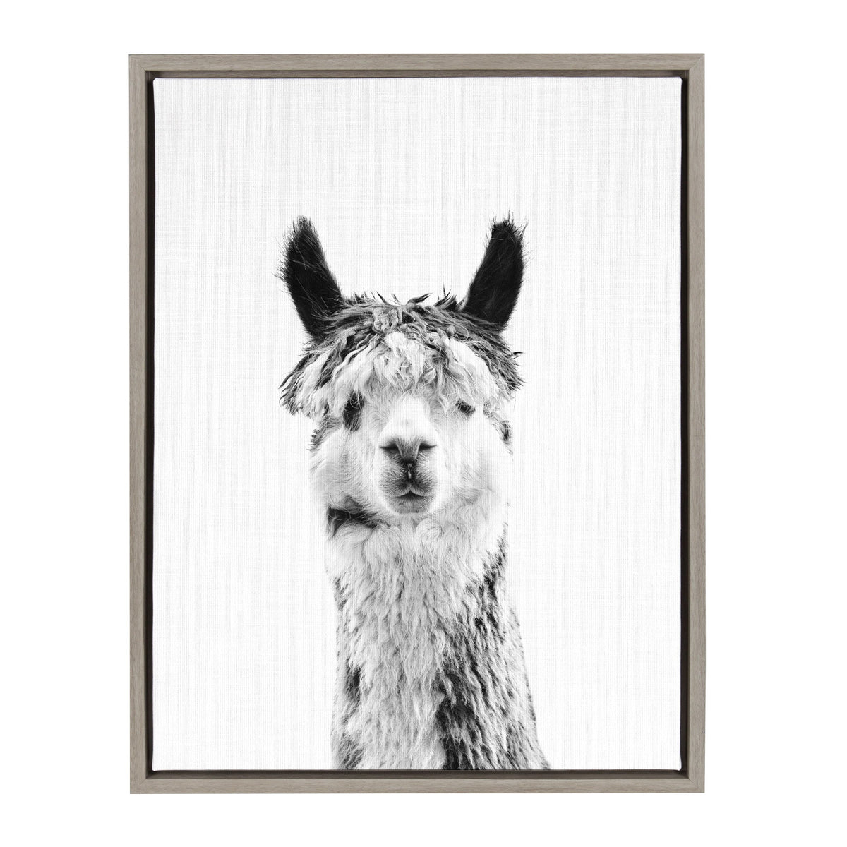 Sylvie Llama Framed Canvas by Simon Te Tai by kateandlaurel - main product image for Resin Society