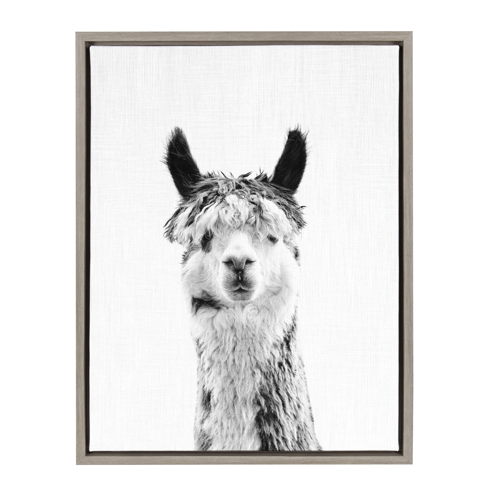 Sylvie Llama Framed Canvas by Simon Te Tai by kateandlaurel - main product image for Resin Society