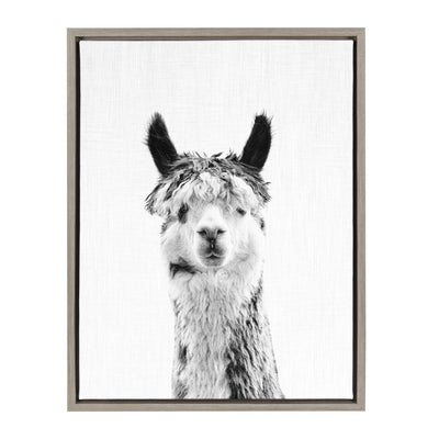 Sylvie Llama Framed Canvas by Simon Te Tai by kateandlaurel - main product image for Resin Society
