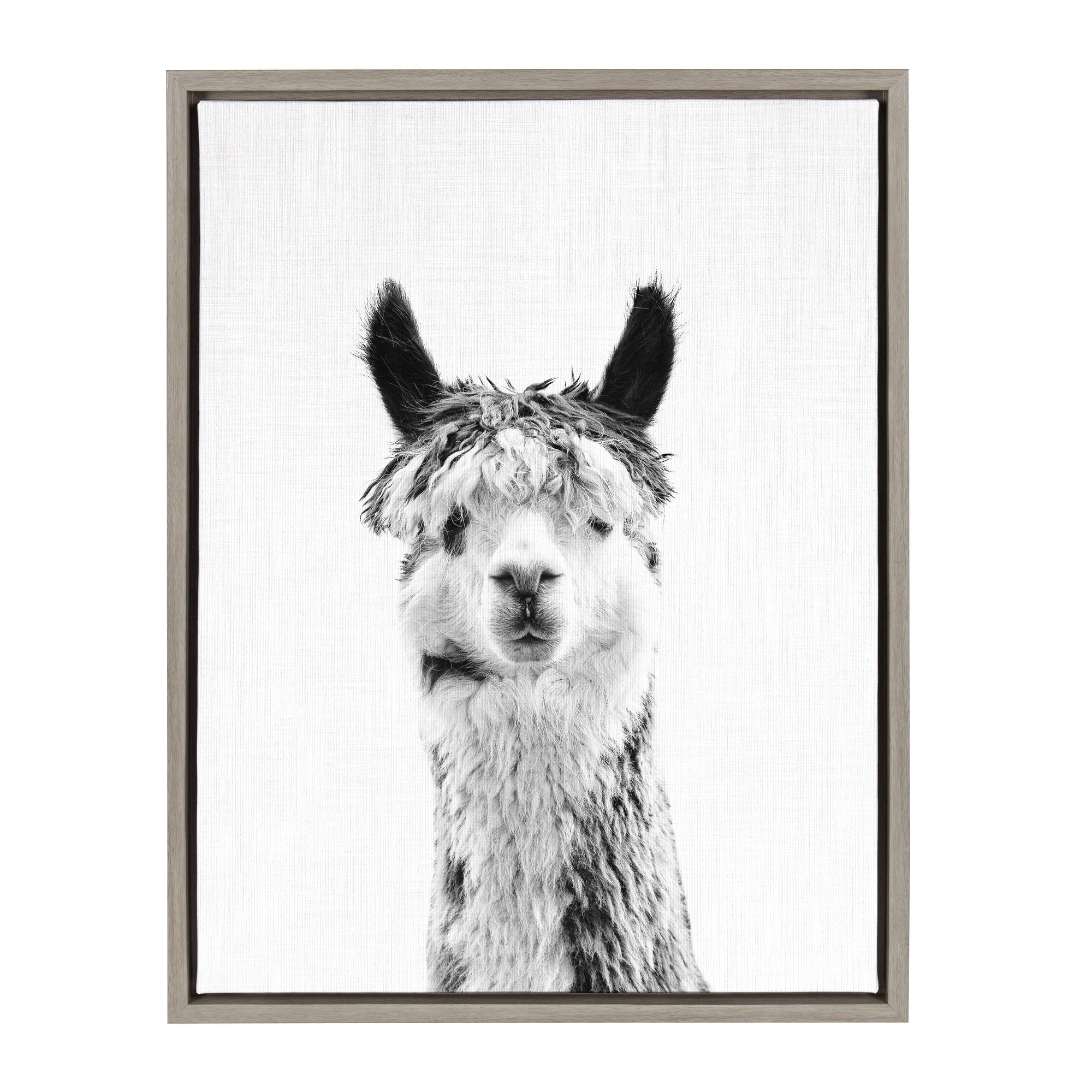 Sylvie Llama Framed Canvas by Simon Te Tai by kateandlaurel - product image 7 for Resin Society