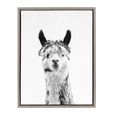 Sylvie Llama Framed Canvas by Simon Te Tai by kateandlaurel - product image 7 for Resin Society
