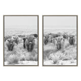 Sylvie Herd of Highland Cows Framed Canvas by The Creative Bunch Studio by kateandlaurel - main product image for Resin Society