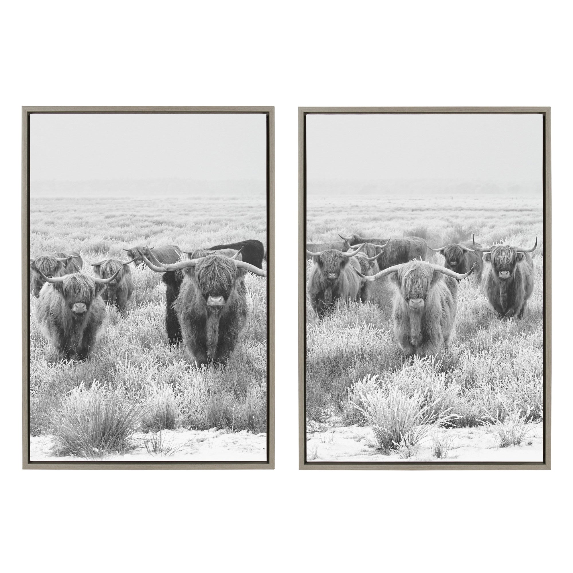 Sylvie Herd of Highland Cows Framed Canvas by The Creative Bunch Studio by kateandlaurel - main product image for Resin Society