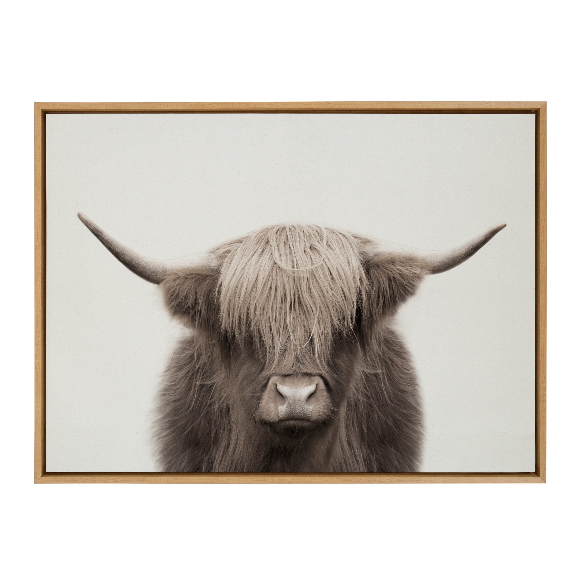 Sylvie Hey Dude Highland Cow Color Framed Canvas by The Creative Bunch by kateandlaurel - product image 10 for Resin Society