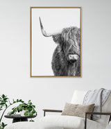 Black and white framed canvas showing half of a Highland cow's face with long shaggy hair and one curved horn against a white background.