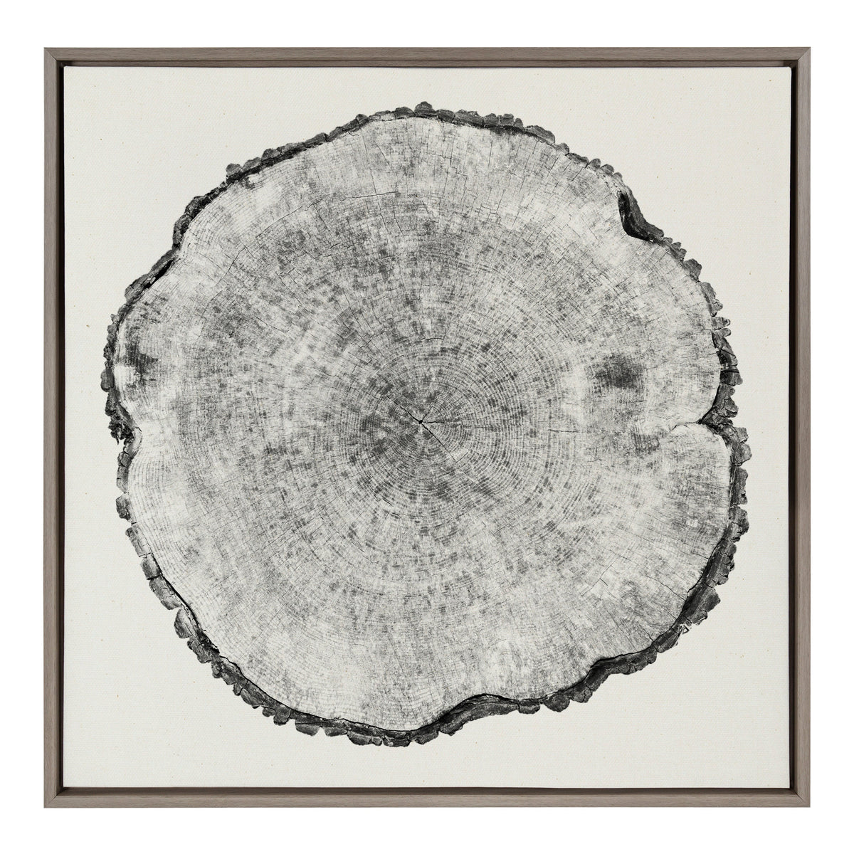 Sylvie Tree Rings Linen Framed Canvas by kateandlaurel - product image 2 for Resin Society