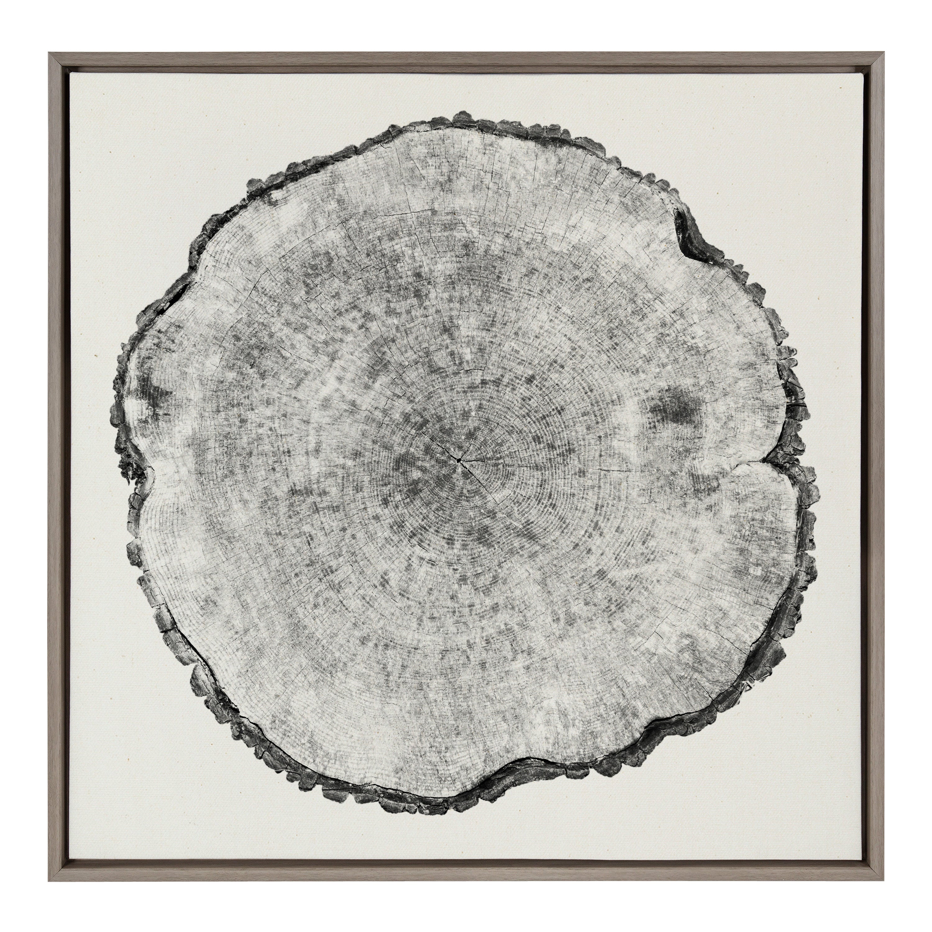 Sylvie Tree Rings Linen Framed Canvas by kateandlaurel - product image 2 for Resin Society