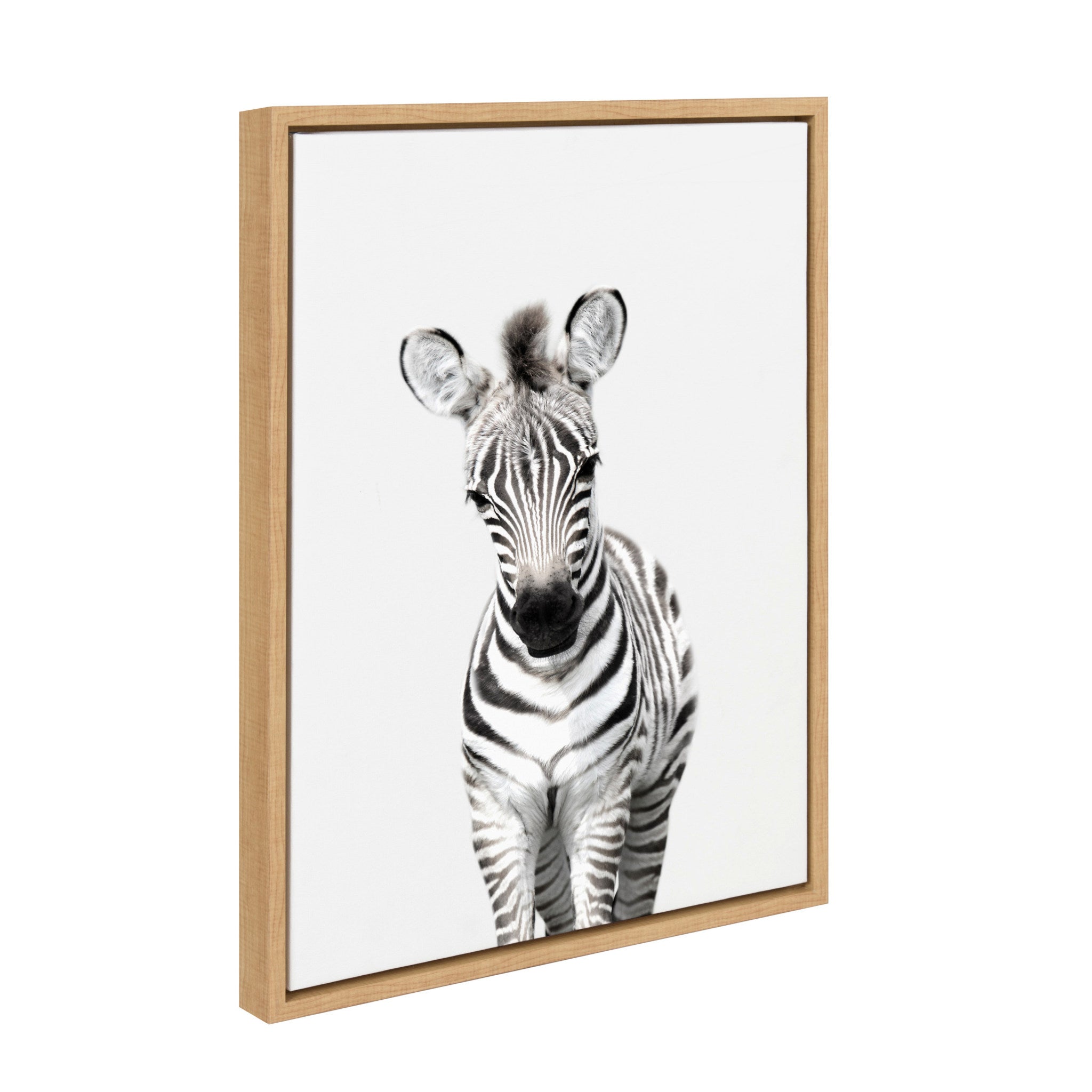 Sylvie Baby Zebra Framed Canvas by Amy Peterson by kateandlaurel - product image 2 for Resin Society