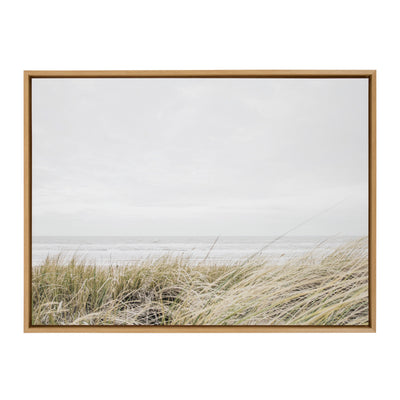 Sylvie East Beach Framed Canvas by Amy Peterson Art Studio by kateandlaurel - product image 10 for Resin Society