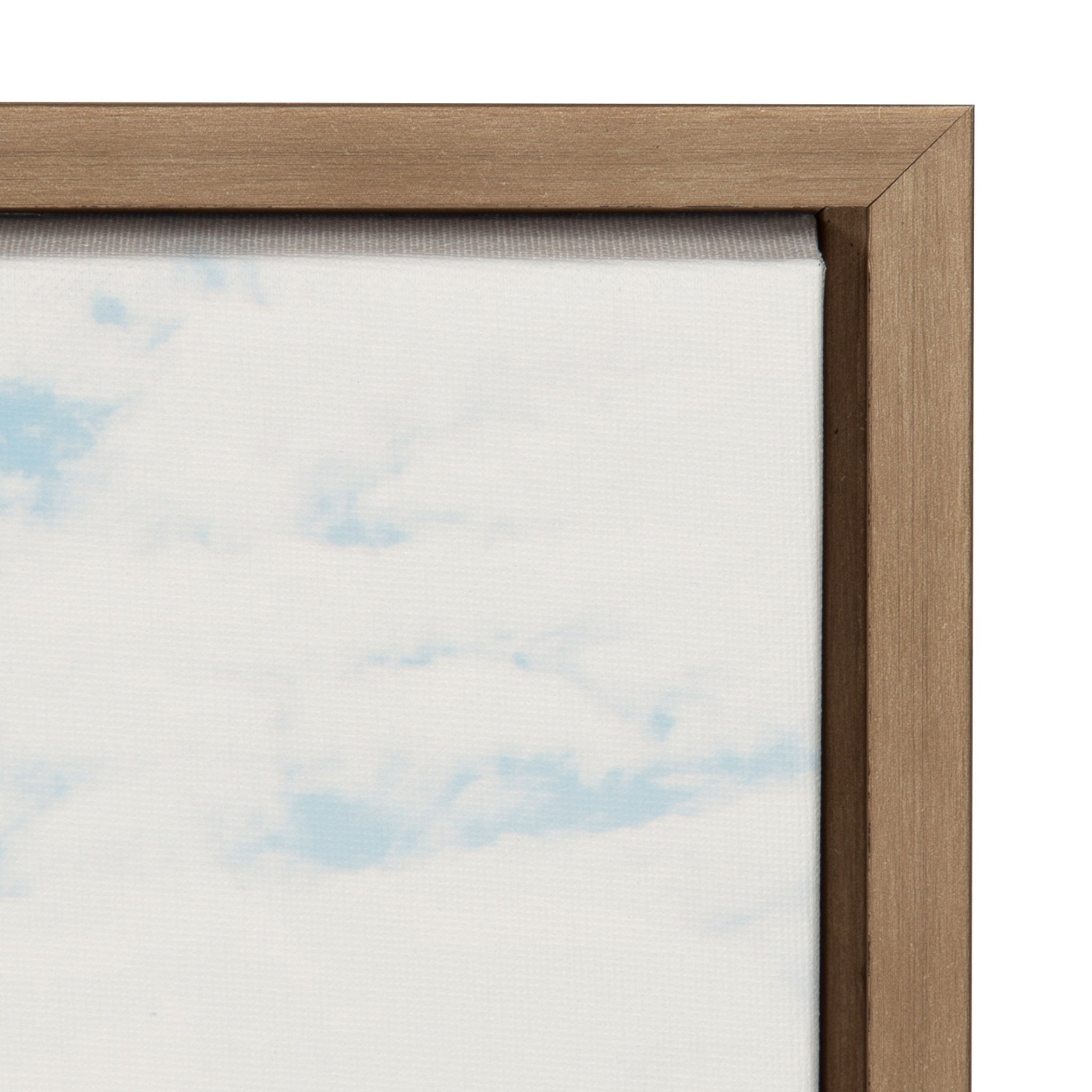 Sylvie France Framed Canvas by Laura Evans by kateandlaurel - product image 3 for Resin Society
