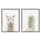 Sylvie Alpaca Front and Alpaca Back two piece framed canvas art set showing a gray alpaca front and natural colored alpaca back
