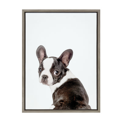 Sylvie Animal Studio French Bulldog Framed Canvas by Amy Peterson Art Studio