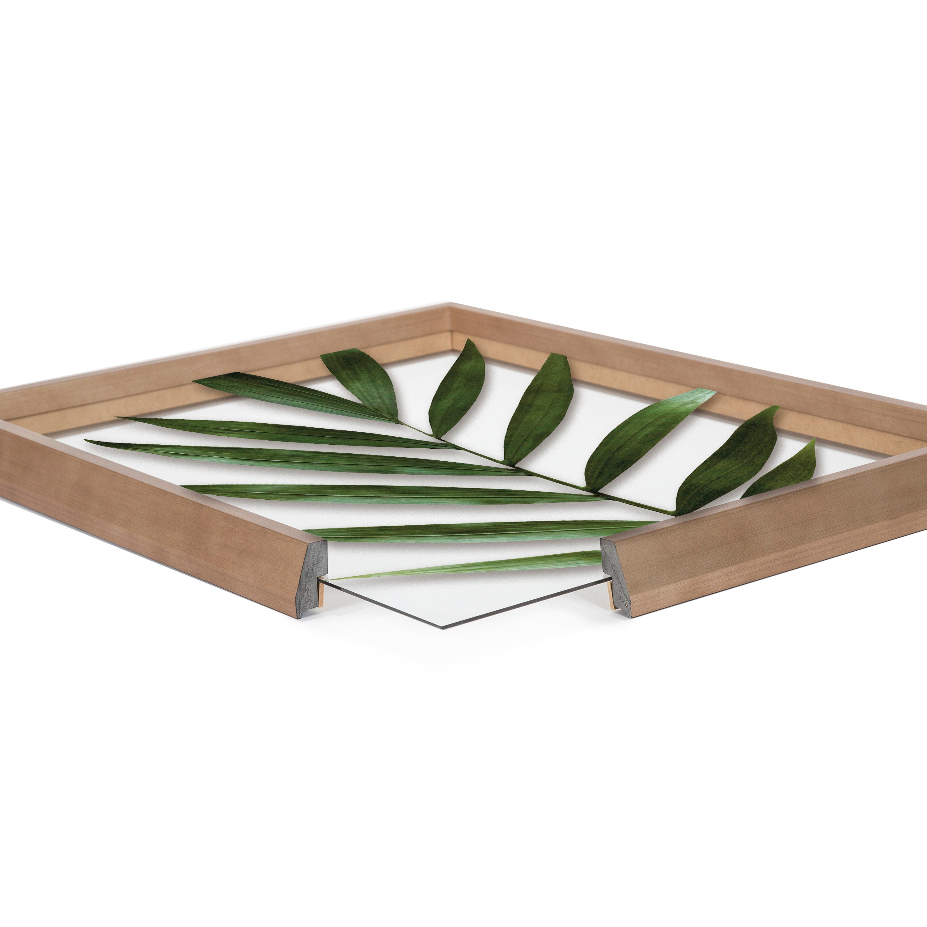 Blake Botanical 5F Framed Printed Glass by Amy Peterson by kateandlaurel - product image 3 for Resin Society