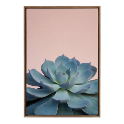 Sylvie Succulent 10 Framed Canvas by kateandlaurel - product image 6 for Resin Society