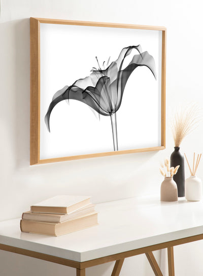 Blake Lily X Ray Floral BW Framed Printed Art by The Creative Bunch Studio