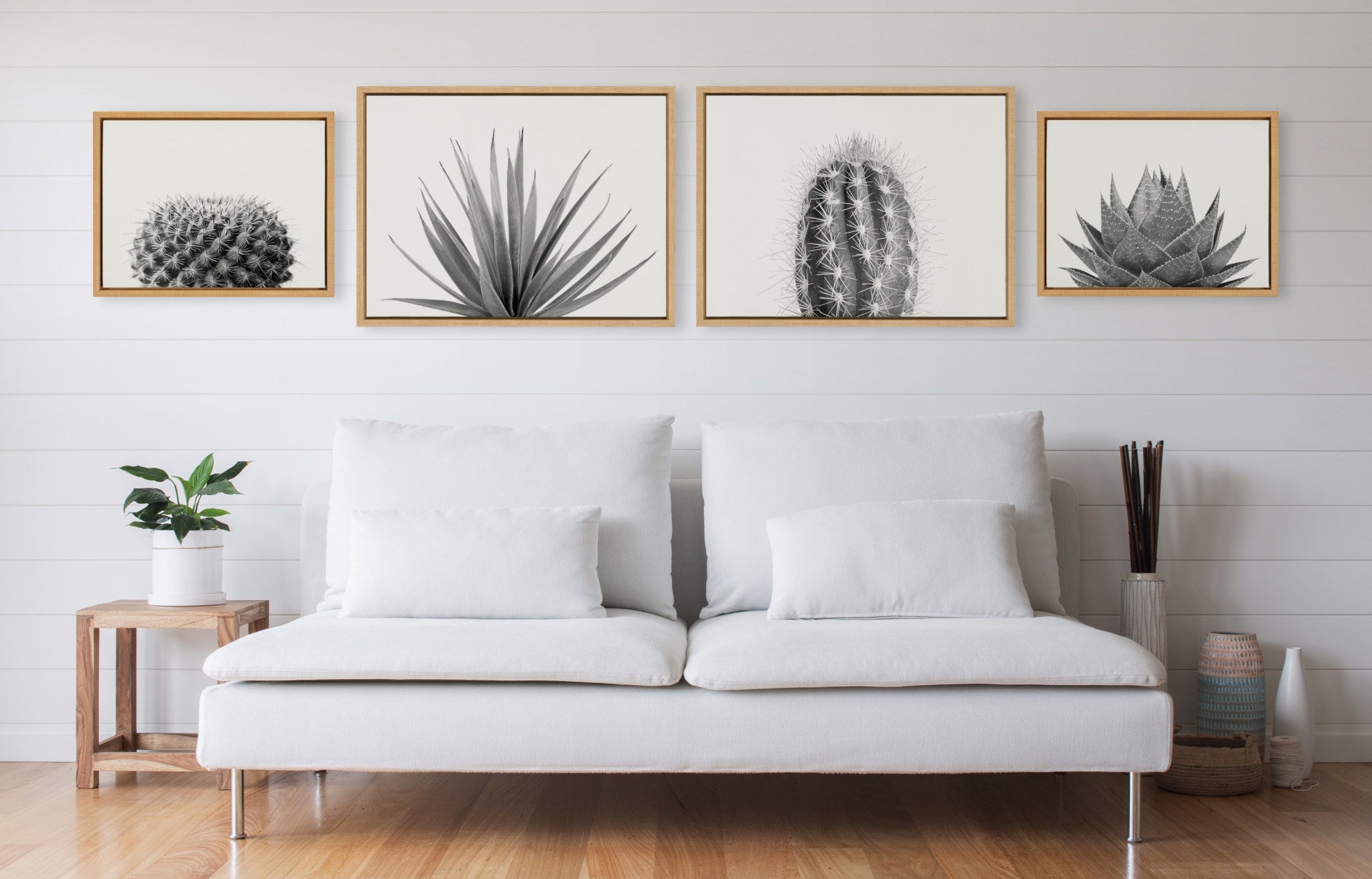 Sylvie Haze Aloe Succulent, Cactus Tall, Cactus Short and Agave Succulent Framed Canvas Art Set