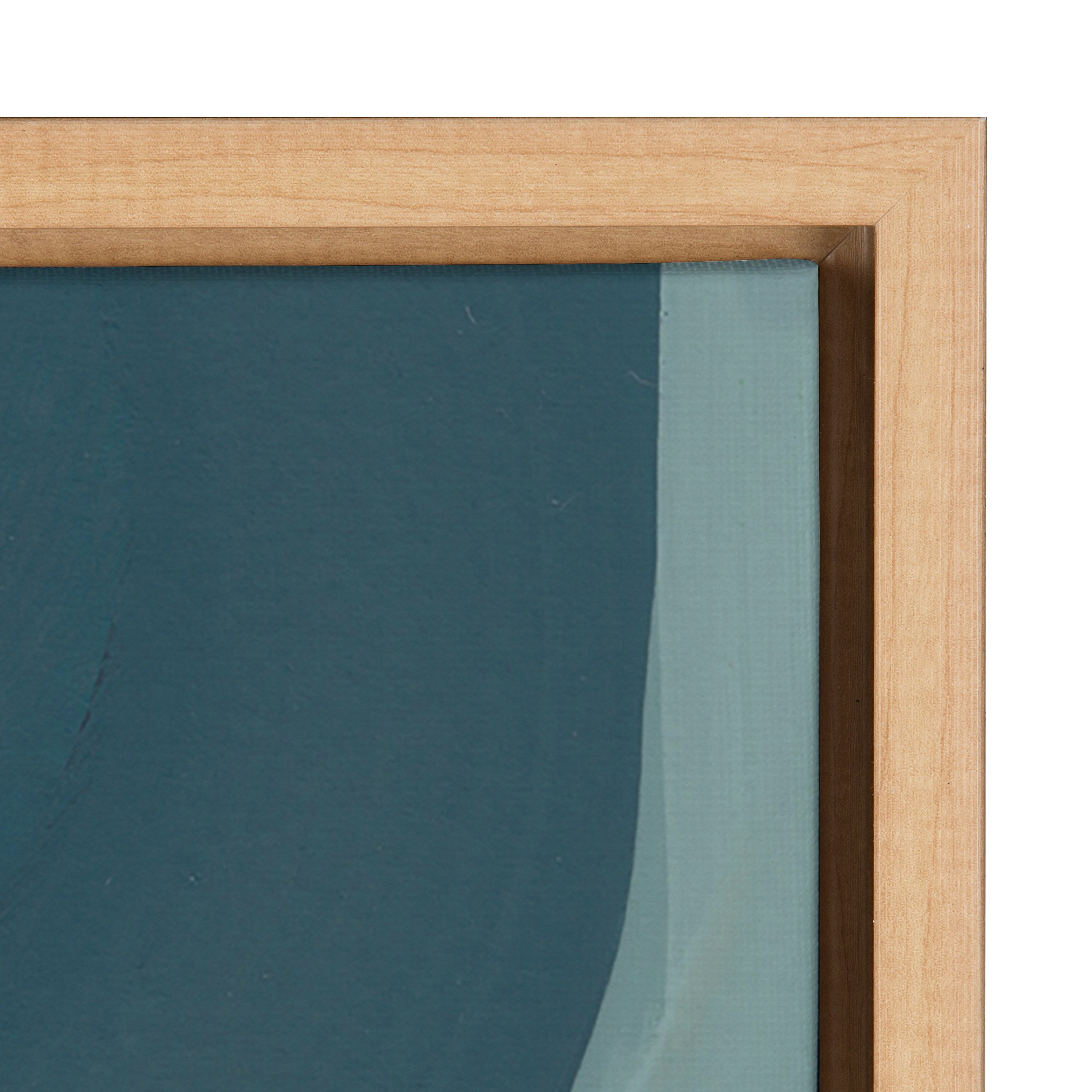 Sylvie Teotitlan Valley Study 1 Framed Canvas by kateandlaurel - product image 8 for Resin Society